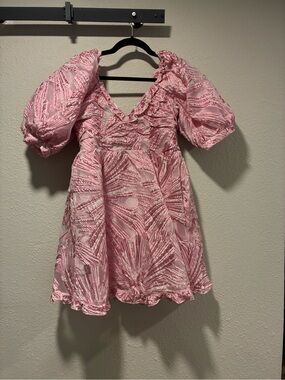 NWT Pink puff sleeve Buddylove Colby dress